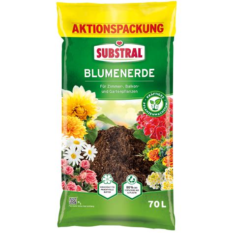 SUBSTRAL Terra Magma Blumenerde Mit Lavagranulat 60 L Liebe Deinen