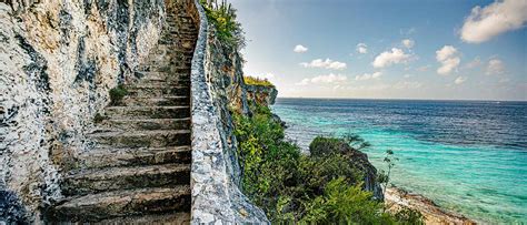 bonaire expedia