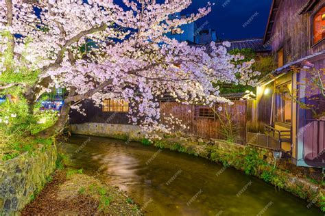 Premium Photo | Kyoto japan during cherry blossom season