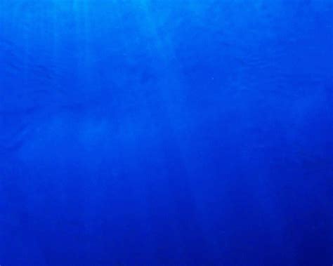 20 Gallon Blue Aquarium Background Petbackdrops Reusable Glass Tank ...