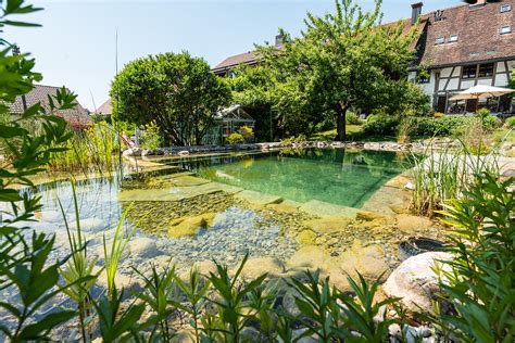 Swissteich Wasserwelten Im Einklang Mit Der Natur