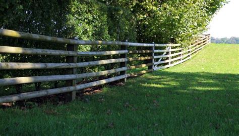 Free Images Tree Nature Grass Meadow Wall Pasture Garden