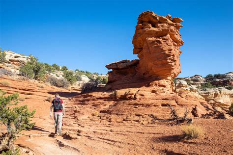 Cassidy Arch An Essential Hike In Capitol Reef National Park Earth Trekkers