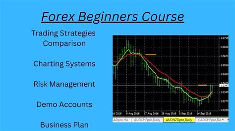 Forex Trading Course For Beginners YouTube