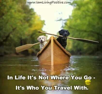 Travel Buddy Quotes. QuotesGram