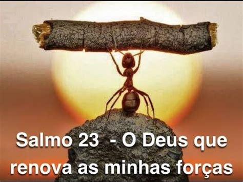 Salmo 23 O Deus que renova as minhas forças Anésio Rodrigues YouTube