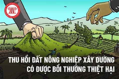 Thu Hồi đất Nông Nghiệp để Xây đường Người Dân Có được Bồi Thường