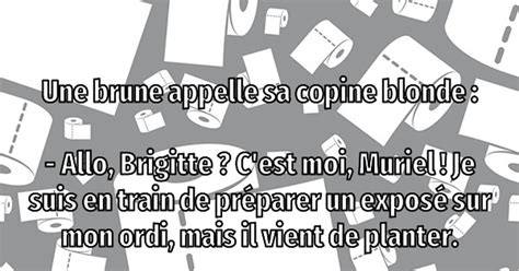 Une brune appelle sa copine blonde Blagues et les meilleures images drôles