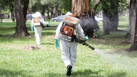 Argentina Logra Un Importante Avance En La Lucha Contra El Dengue En