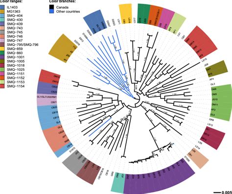 Neighbor Joining Phylogenetic Tree Of 100 Phages Of The 936 Phage Group