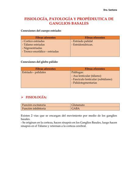 Ganglios Basales Fisiología Patología y Propedéutica Nancy A3C uDocz