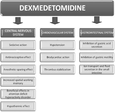 Figure 1 From Interaction Between Dexmedetomidine And Cid 1