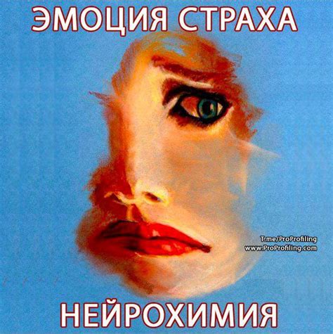 Базовая эмоция страх. Нейрохимия.