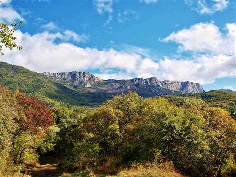 Free Images : landscape, tree, nature, forest, wilderness, meadow, hill ...