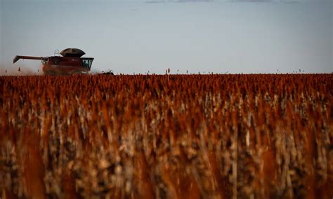 Seca Causa Perdas Bilion Rias Para A Safra E Prejudica O Agroneg Cio