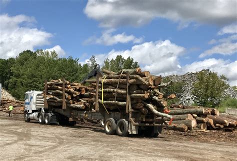 FullSizeRender (1) - North Georgia Timber
