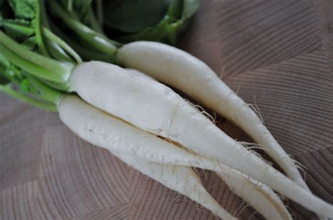 How To Grow Radishes The Full Guide