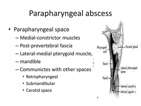 Acute And Chronic Pharyngitis