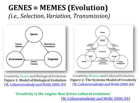 Genes Memes Storyality