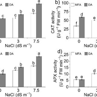 Activity Of Superoxide Dismutase SOD A Catalase CAT B