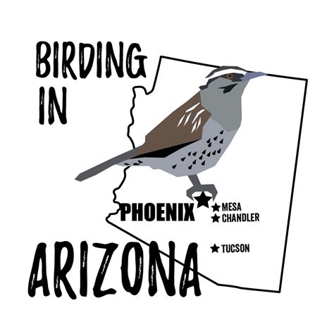 Birds In Arizona Bird Watching Academy