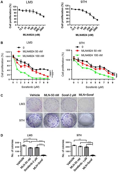 Inhibition Of Neddylation Modification By MLN4924 Sensitizes