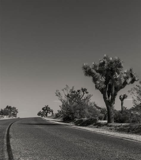 Nur Hier... Foto & Bild | north america, united states, california ...