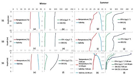 Typical Vertical Profiles Of Salinity Temperature Dissolved Oxygen