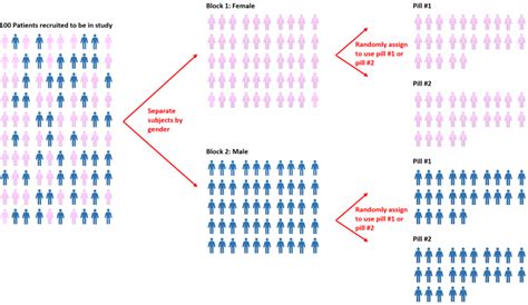 Randomization In Statistics Definition And Example