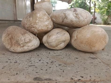 Landscaping White Pebble Stone At Rs Kg Vadodara Id