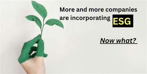 Implementing Esg Strategies For Sustainable Business Growth