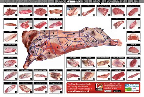 Register Der Teilst Cke Vom Rind Weidefleisch Org