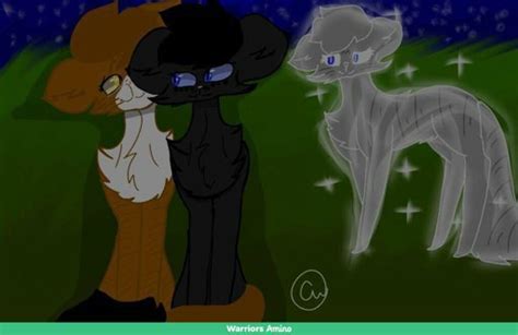 Leafpool X Crowfeather | Warriors Amino