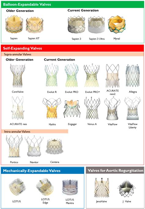 Types Of Transcatheter Aortic Valve Replacement Devices Encyclopedia Mdpi