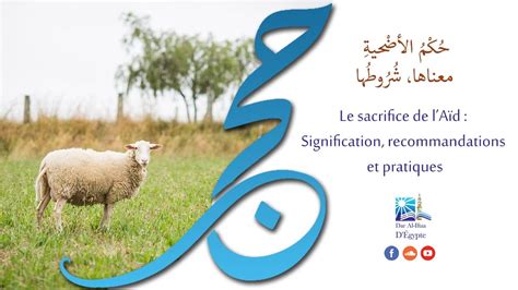 Le sacrifice de lAïd Signification recommandations et pratiques