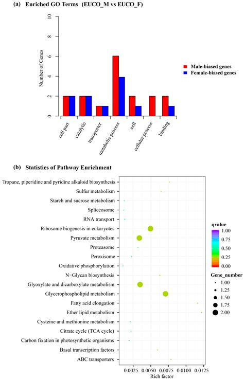 Molecules Free Full Text Identification Of The Sex Biased Gene