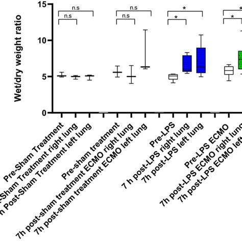 The Figure Shows Wet Dry Weight Ratio From Lung Tissue At Baseline And