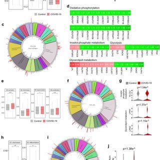 The Significantly Altered Metabolic Pathways Left Panel And