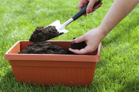 Compost Para Macetas C Mo Prepararlo En Casa