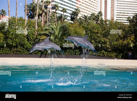 Siegfried and Roy's Secret Garden and Dolphin Habitat‎ at Mirage Hotel ...