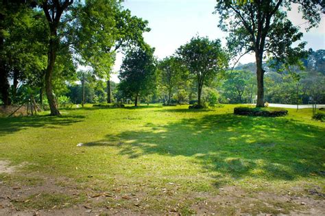 Beneficios de las áreas verdes Parques Alegres I A P