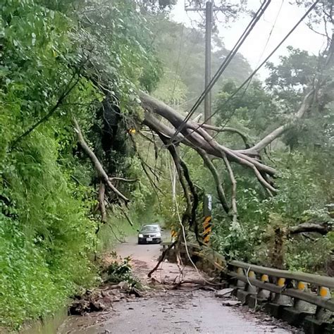 高雄桃源24小時雨量破200毫米 16條土石流黃色警戒 地方 中央社 Cna