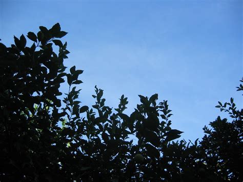 Light And Shadow Free Photo Download Freeimages