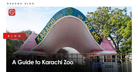 A Guide to Karachi Zoo | Graana.com