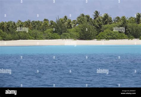 BIKINI ISLAND Marshall Islands Photo Shows The Empty Beach Of Bikini Island In The Pacific On