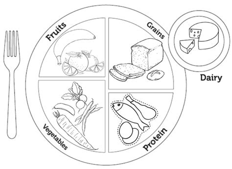 My Food Plate Coloring Sheet Coloring Pages