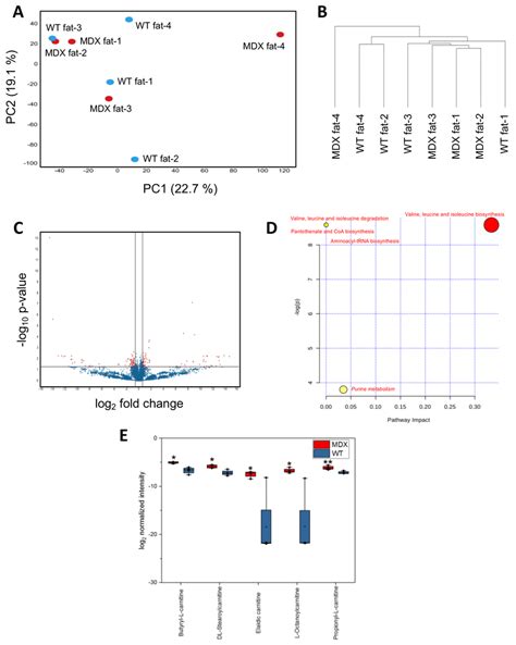 Apc Metabolomic Analysis A A Principal Component Analysis Pca Plot