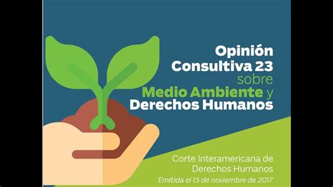 Unidad III Derecho Internacional Ambiental OC 23 17 Sobre Medio