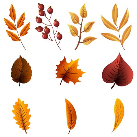 Premium Vector Set Of Autumn Leaves For Decoration