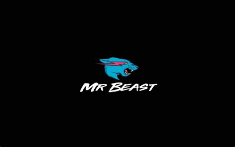 Mr Beast Wallpapers - 4k, HD Mr Beast Backgrounds on WallpaperBat